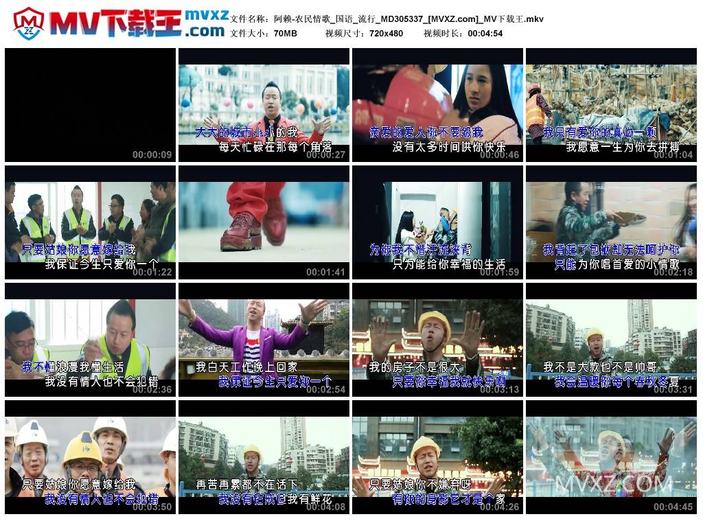 阿赖-农民情歌_国语_流行_MD305337